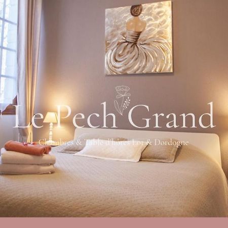 Chambres & Tables D'Hotes Le Pech Grand Saint-Sozy Luaran gambar
